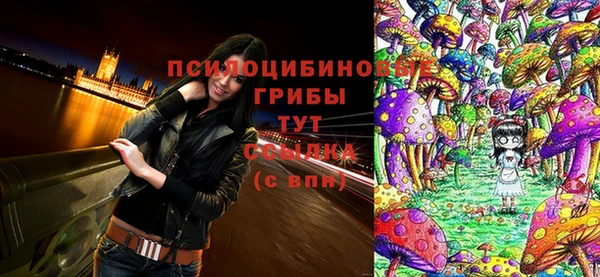 PSILOCYBIN Козельск