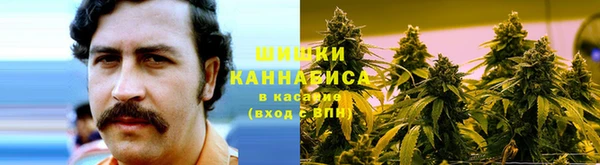 PSILOCYBIN Козельск